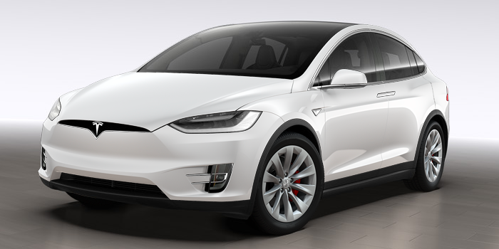 EZURI 4 Stück Auto Einstiegsleisten Schutz für Tesla Model X